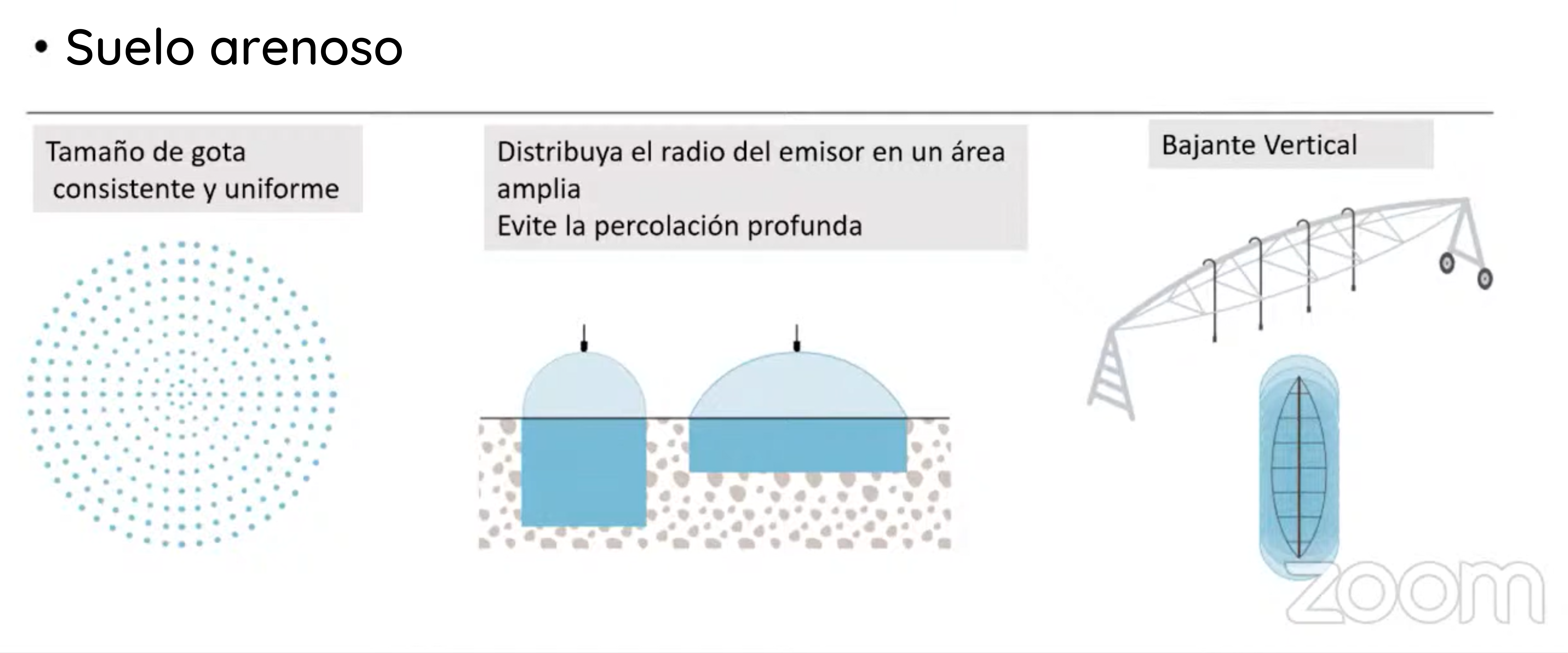 Suelo Arenoso