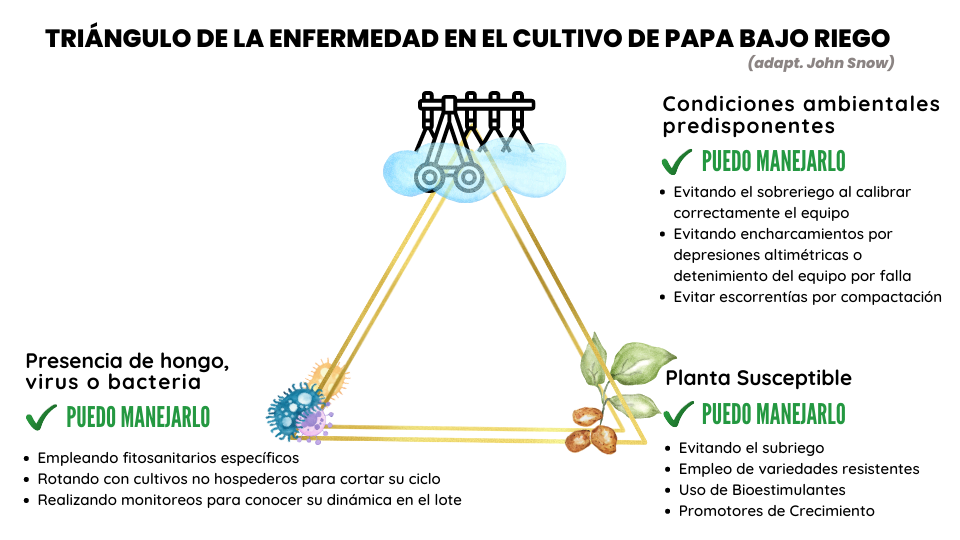 Triangulo de la enfermedad 