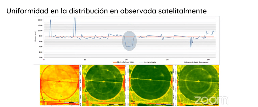 Uniformidad de riego NDVI